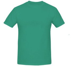 Koszulka T-shirt Cerva Teesta - zielona